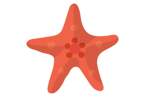 Download Starfish Color Icon. Red Sea Fauna Symbo - Fauna Collection